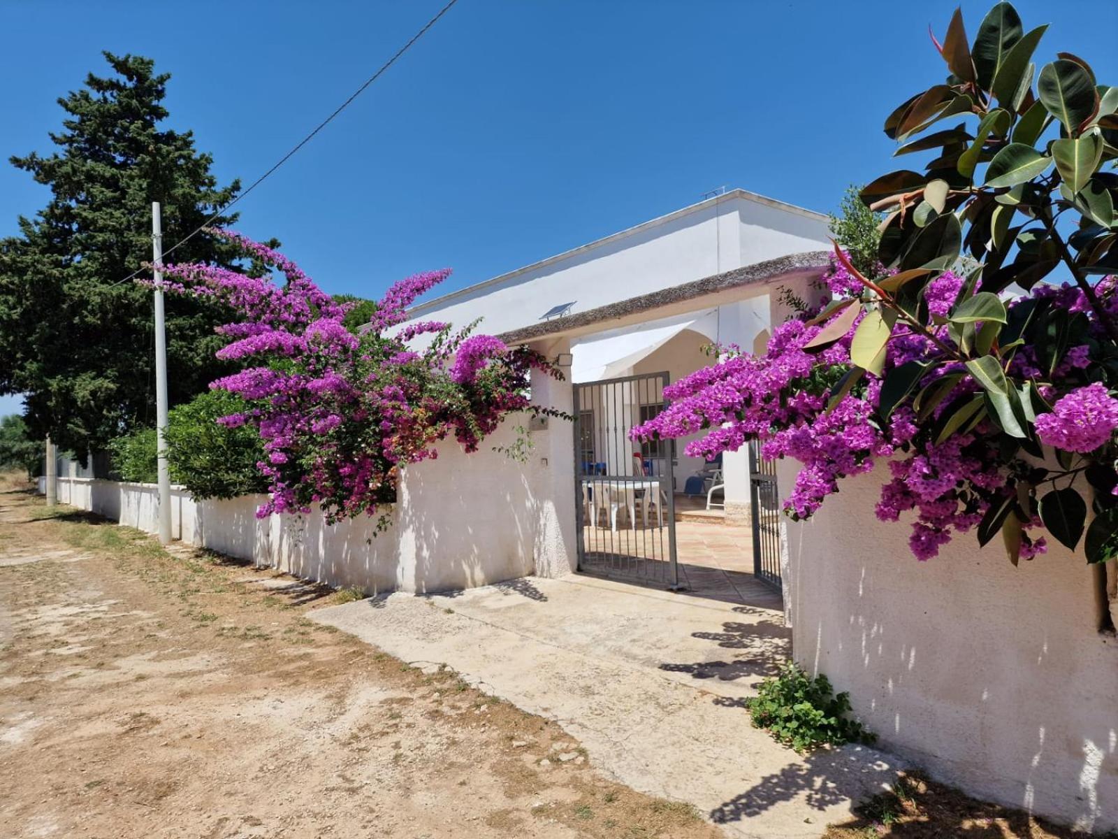 Villa Carmela A San Pietro In Bevagna Exterior photo